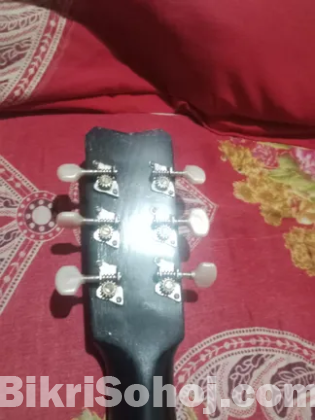 Guitar